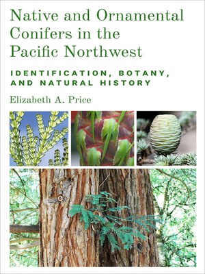 cover image of Native and Ornamental Conifers in the Pacific Northwest